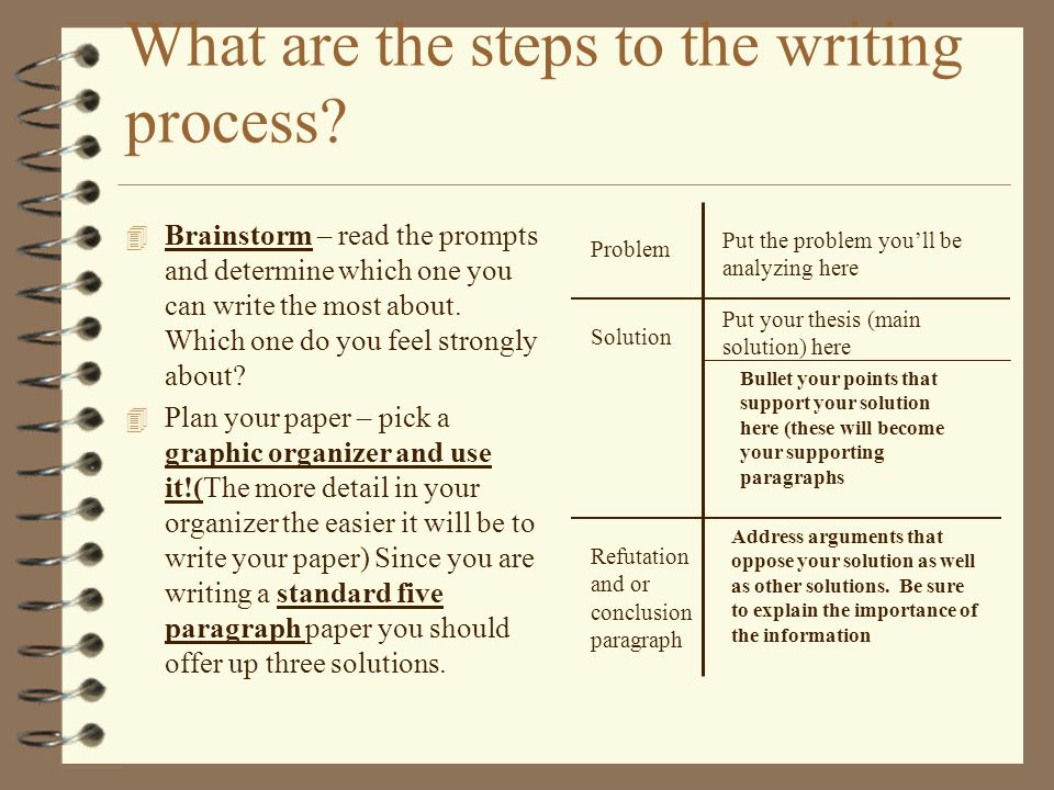 essay writing examples pdf